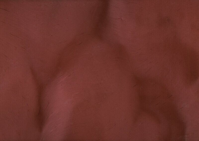 TORGINOL® Metallic ColorPigments - Sangria