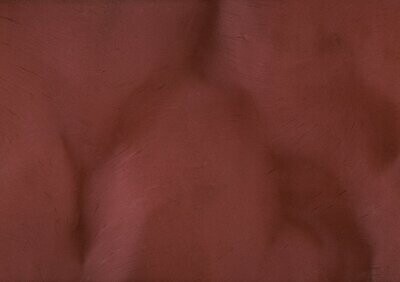 TORGINOL® Metallic ColorPigments - Sangria