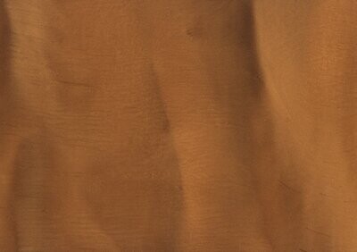 TORGINOL® Metallic ColorPigments - Rum