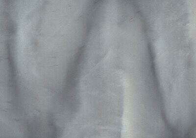 TORGINOL® Metallic ColorPigments - Dolphin
