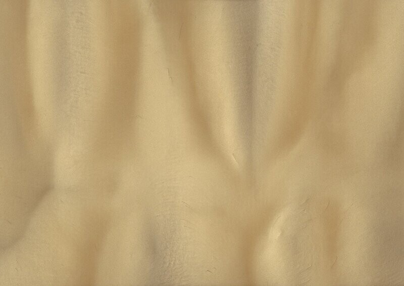 TORGINOL® Metallic ColorPigments - Sandbar