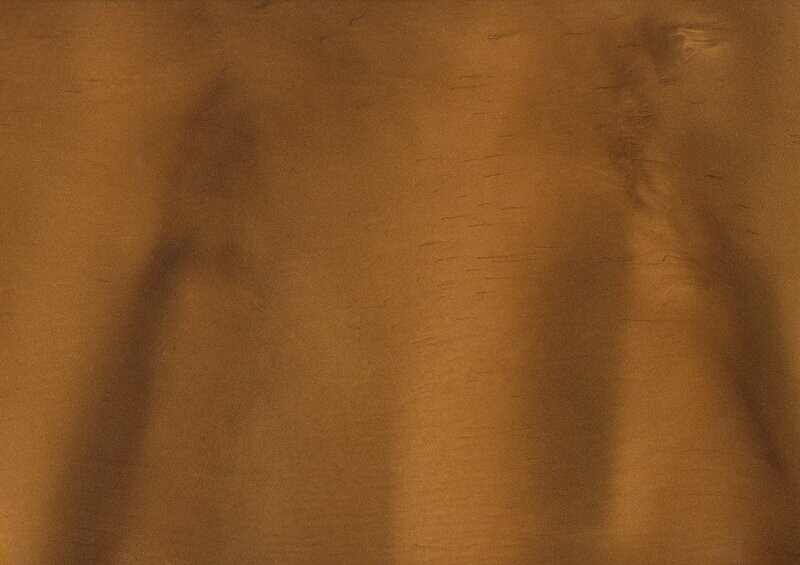 TORGINOL® Metallic ColorPigments - Driftwood