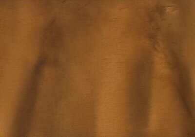 TORGINOL® Metallic ColorPigments - Driftwood