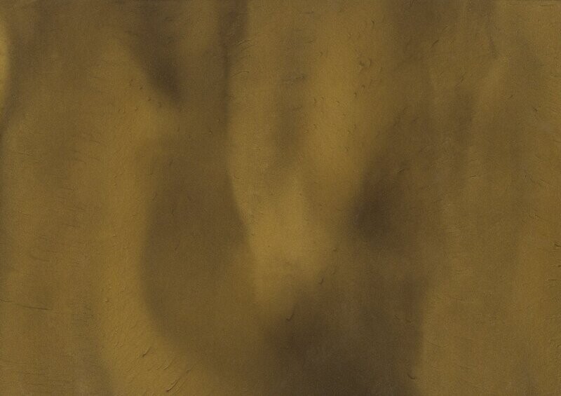 TORGINOL® Metallic ColorPigments - Bamboo