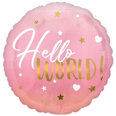 Hello World Pink 17"
