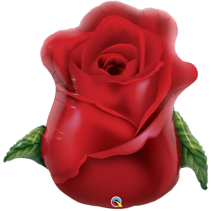  Red Rose Bud