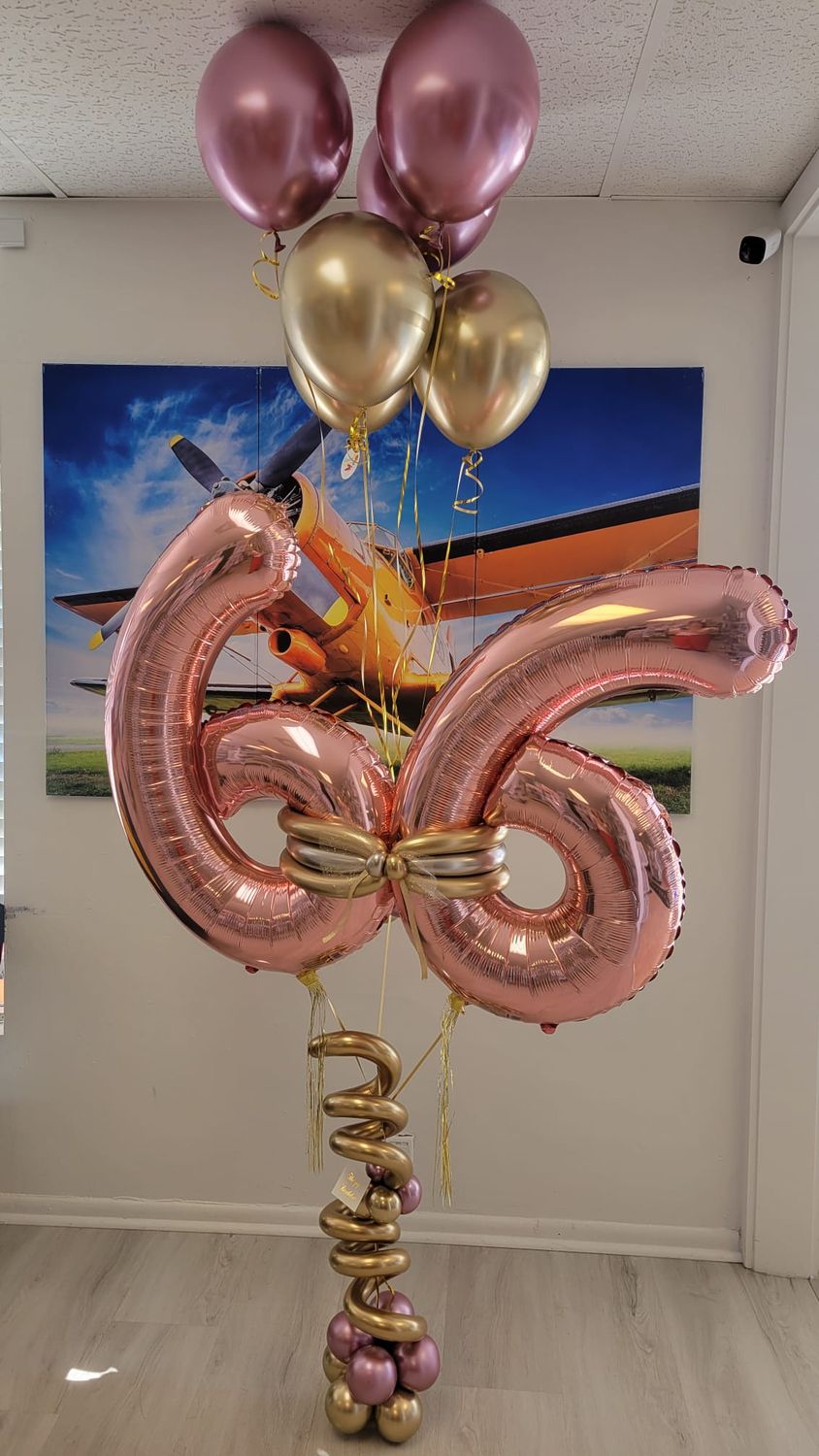 Jolly Jump Bunch Balloons