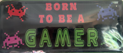 Blechschild -Born to be a Gamer -Motiv 2