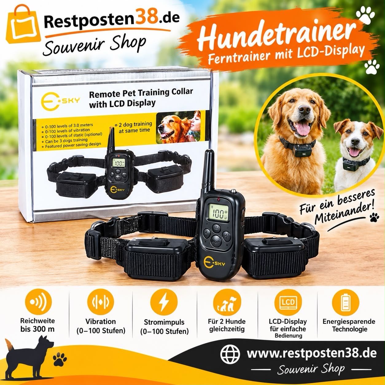 Haustier Traings Set