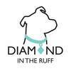 Diamond in the Ruff Pet Rescue FARGO ND