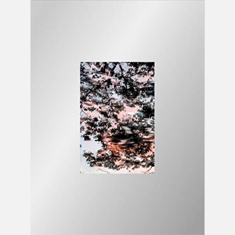 Yoshinori Mizutani: Hdr_nature