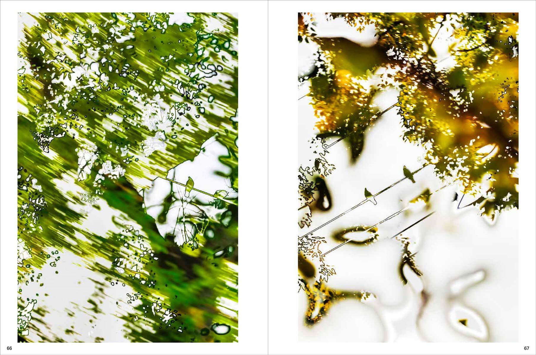 Yoshinori Mizutani: Hdr_nature