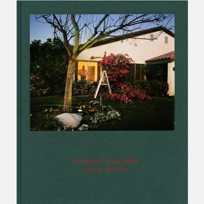 Larry Sultan - Pictures from Home