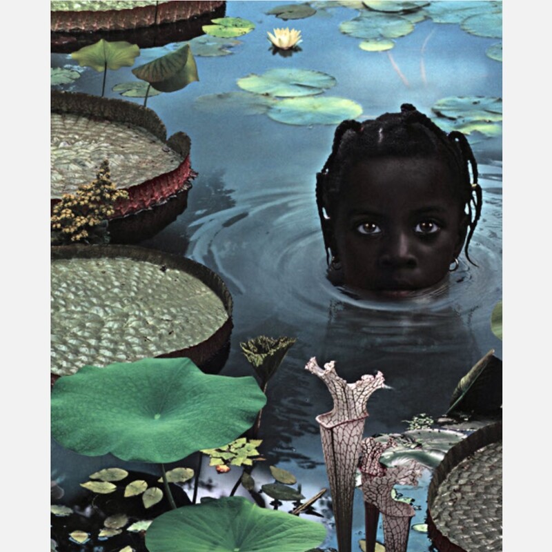 Ruud van Empel - 25 Years of Photoworks