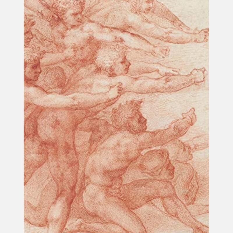 Michelangelo - Divine Draftsman & Designer