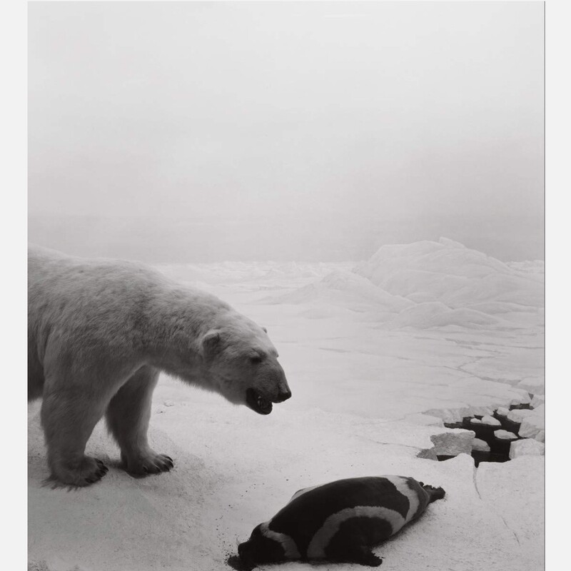 Hiroshi Sugimoto - Dioramas