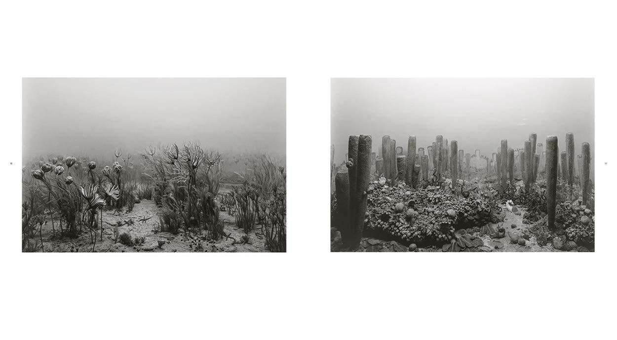 Hiroshi Sugimoto - Dioramas
