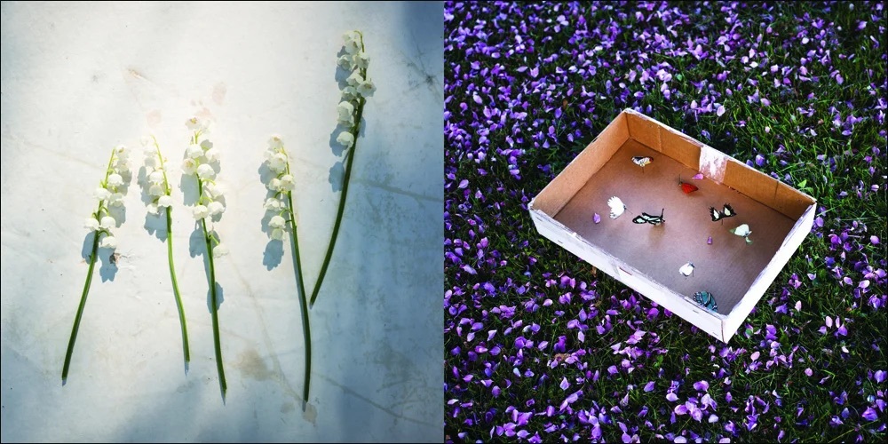 Cig Harvey - You an Orchestra, You a Bomb