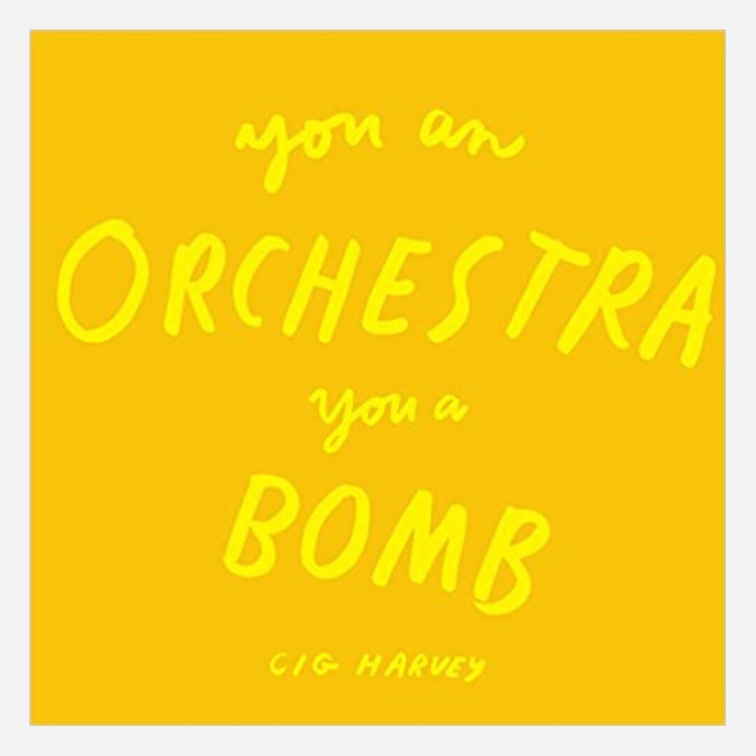 Cig Harvey - You an Orchestra, You a Bomb