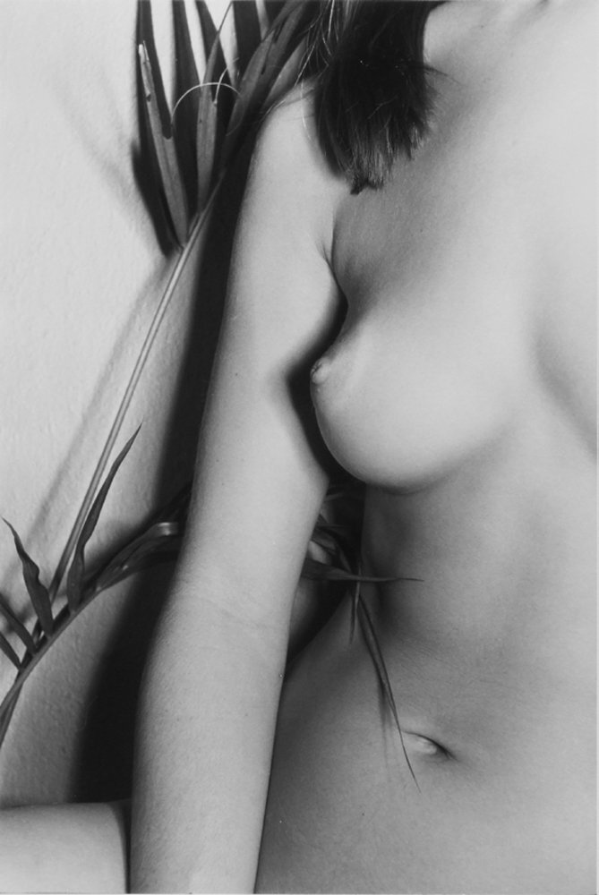Lee Friedlander - Second Look, The Nudes