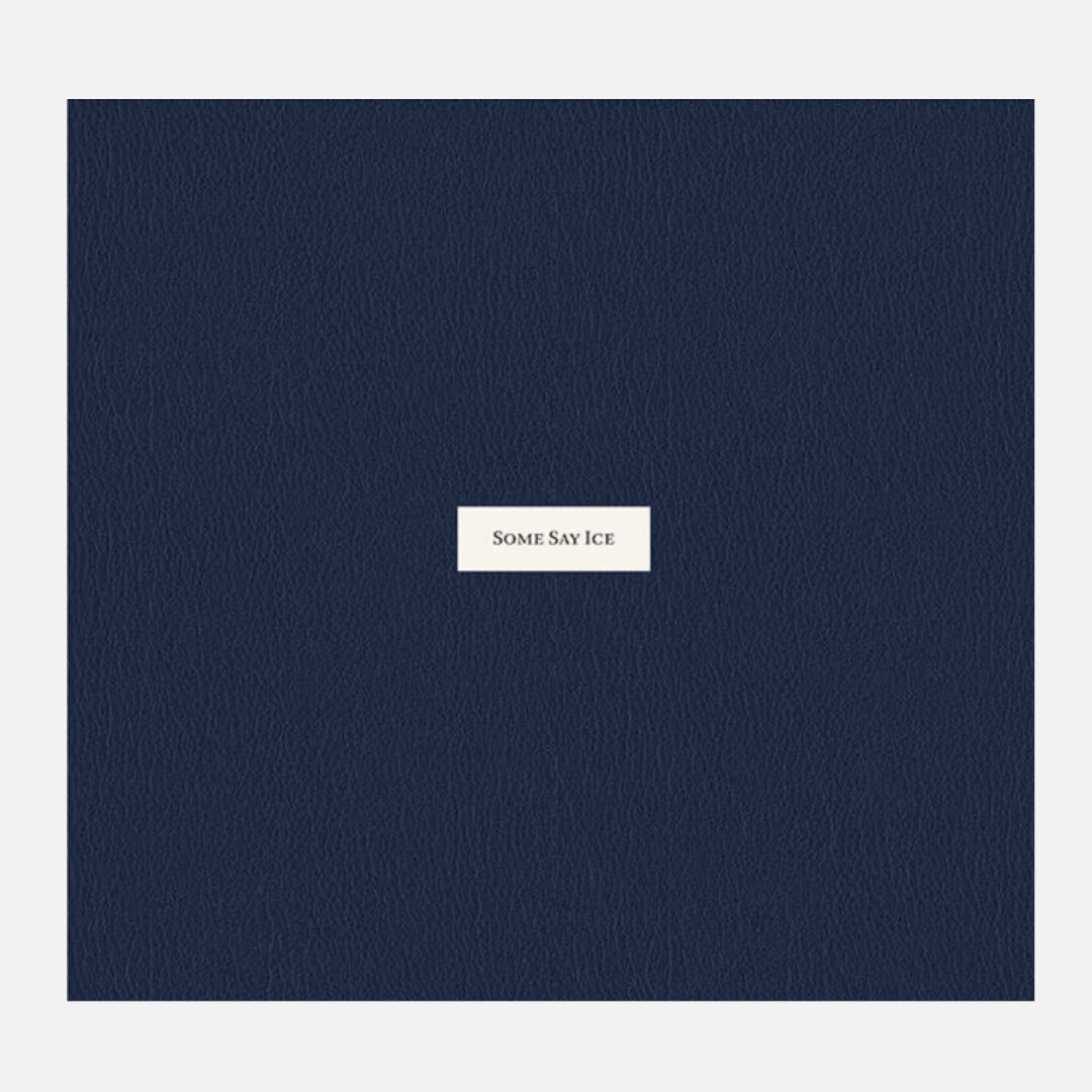 Alessandra Sanguinetti – Some Say Ice