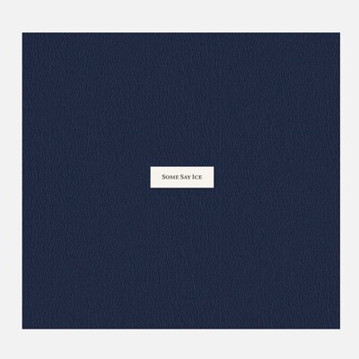 Alessandra Sanguinetti – Some Say Ice