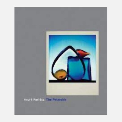 Andre Kertesz - The Polaroids