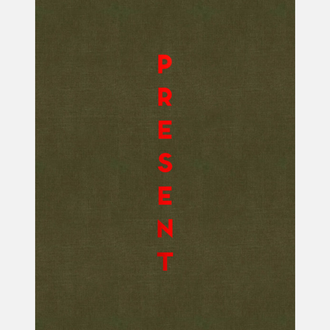 Stephan Vanfleteren - Present