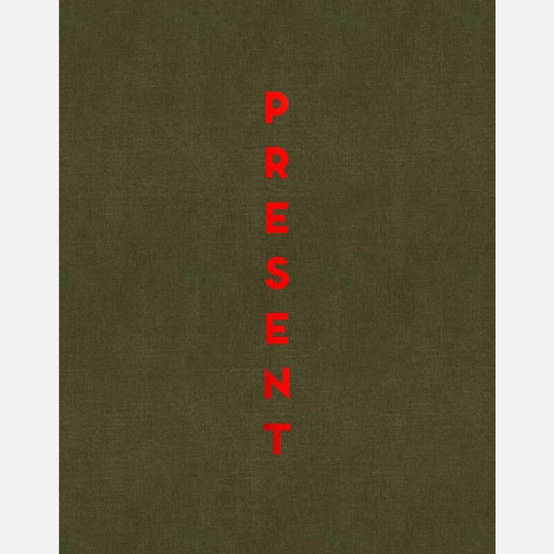 Stephan Vanfleteren - Present