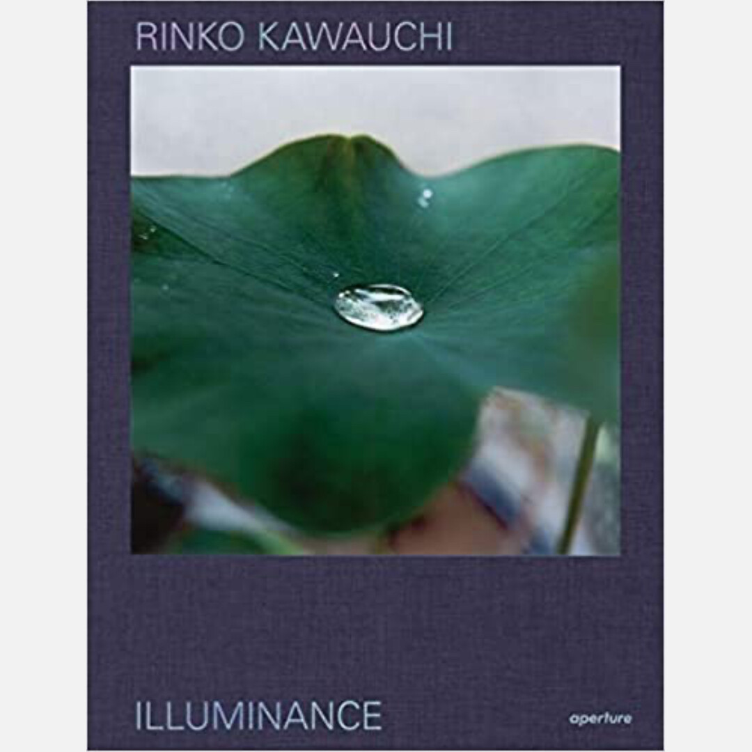 Rinko Kawauchi - Illuminance