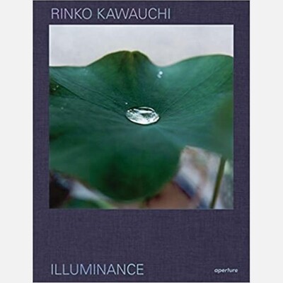 Rinko Kawauchi - Illuminance