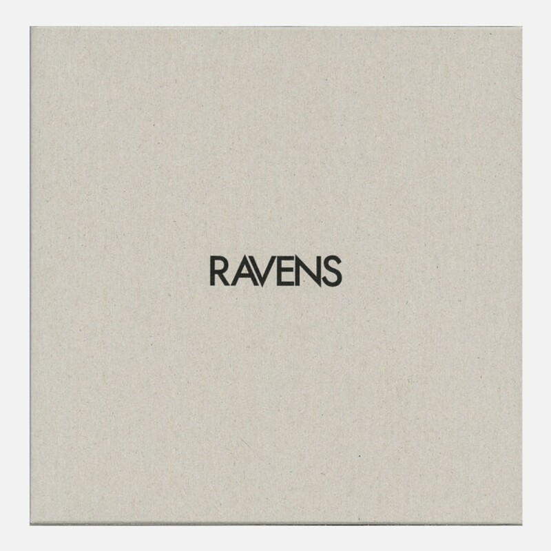 Masahisa Fukase - Ravens