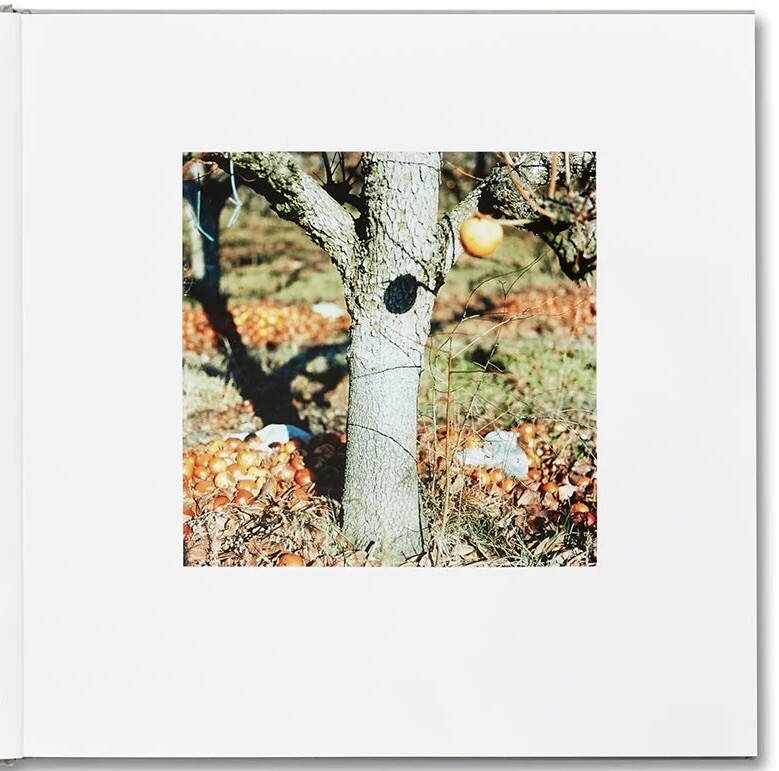 Guido Guidi - Lunario 9781912339679