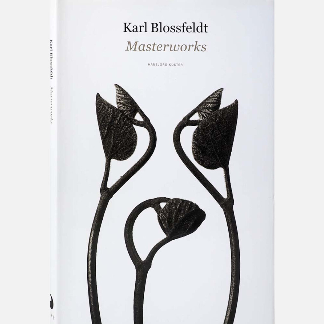 Karl Blossfeldt - Masterworks