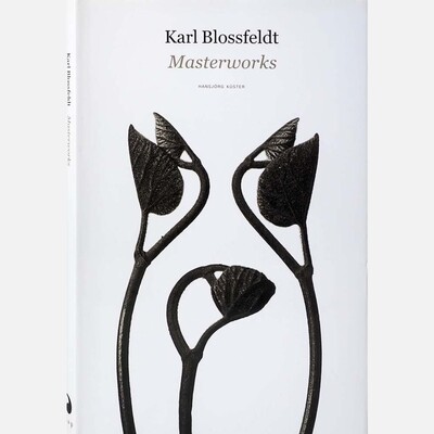 Karl Blossfeldt - Masterworks Karl Blossfeldt - Masterworks
