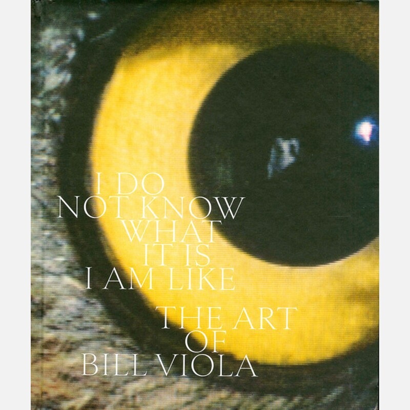 Bill Viola - I Do Not Know What It Is I Am Like