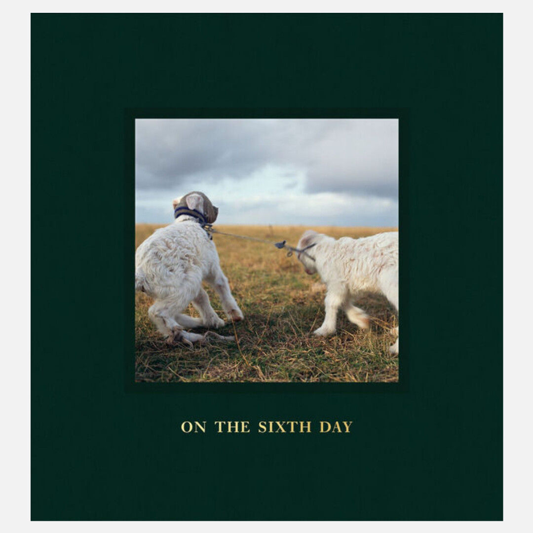 Alessandra Sanguinetti - On the Sixth Day