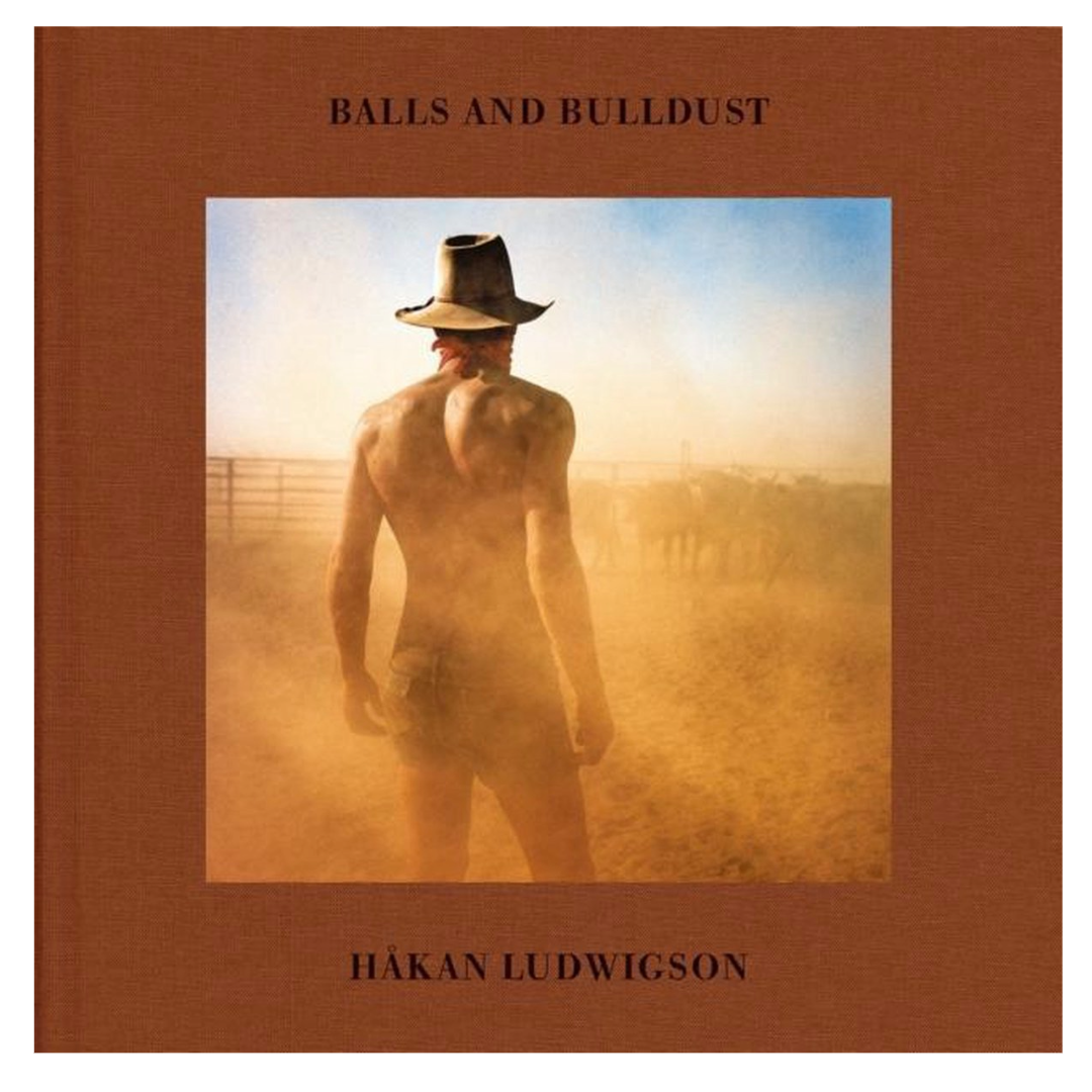 Håkan Ludwigson - Balls and Bulldust