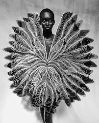 Iris van Herpen - Sculpting the Senses
