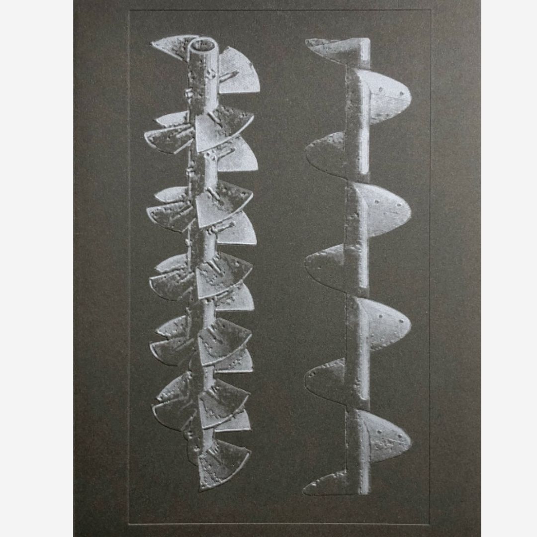 Batia Suter - The Incomparable / La Nonpareille