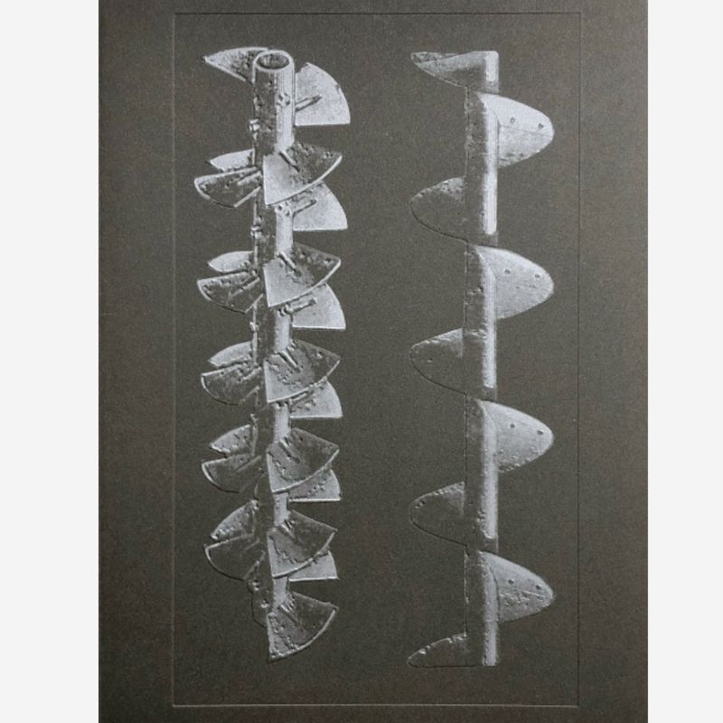 Batia Suter - The Incomparable / La Nonpareille Batia Suter - The Incomparable / La Nonpareille