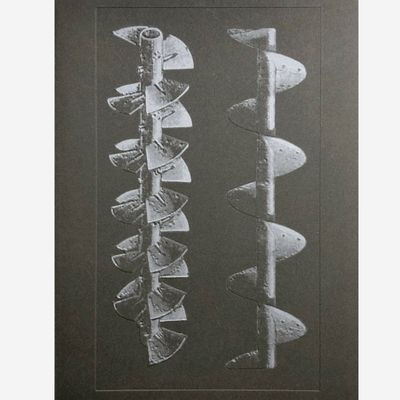 Batia Suter - The Incomparable / La Nonpareille