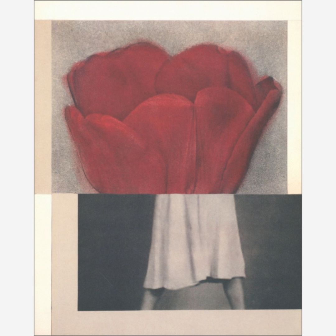 Julie Wolfe - Apophenia volume 02: Exquisite Corpse