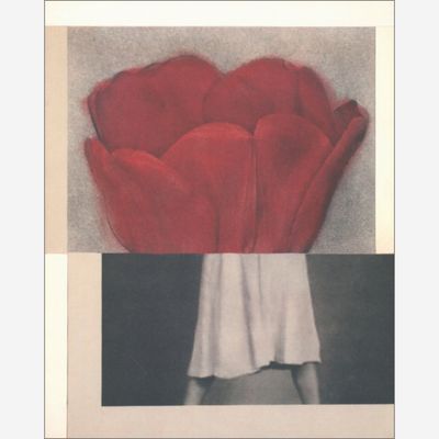 Julie Wolfe - Apophenia volume 02: Exquisite Corpse Julie Wolfe - Apophenia volume 02: Exquisite Corpse