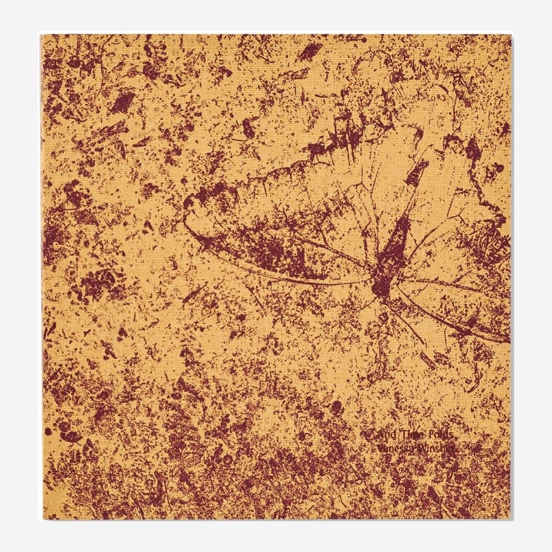 Vanessa Winship - And Time Folds