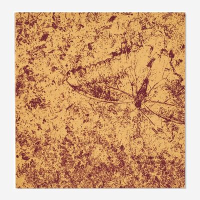 Vanessa Winship - And Time Folds