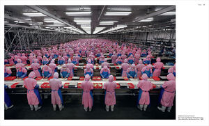 Civilization - The Way We Live Now