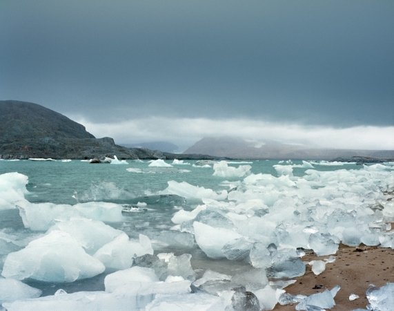 Jacqueline Hassink - Unwired