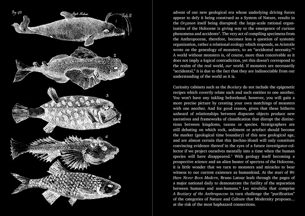 A Bestiary of the Anthropocene - Hybrid Plants, Animals, Minerals, Fungi, and Other Specimens