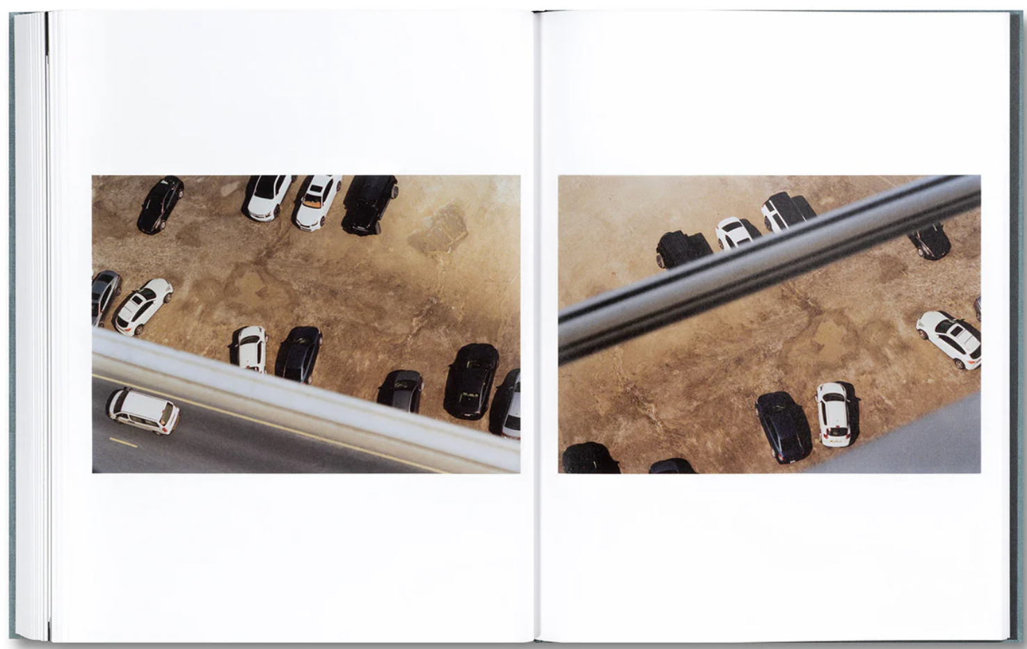 Daniel Shea - Distribution